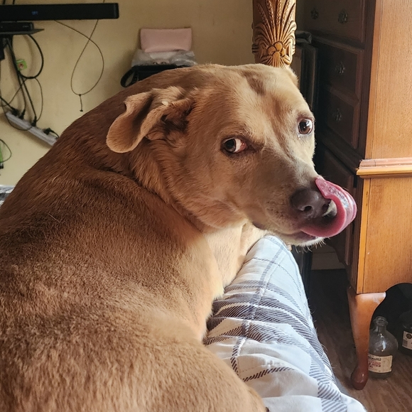 Meet your Posher, Mary - Picture 3 of 16